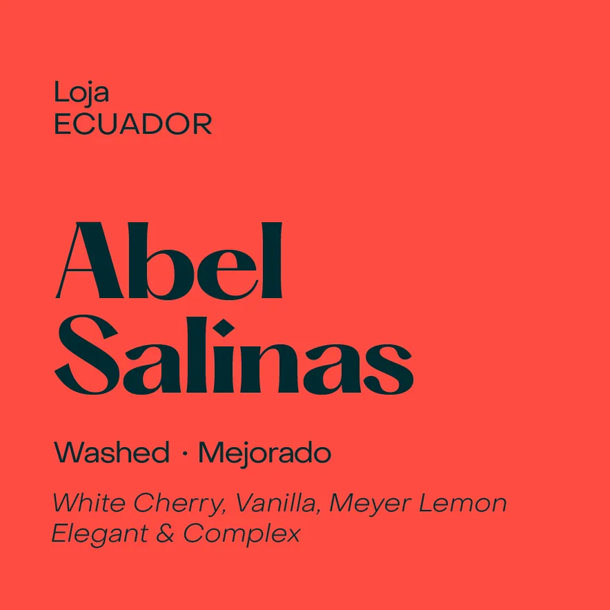 ecuador abel salinas, washed mejorado (may 1st, 2026) coffee by subtext coffee roasters