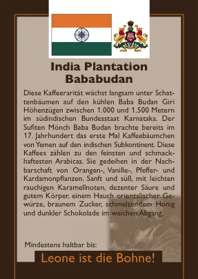 indien espresso bababudan – indian plantation - yemen coffee by leone caffè