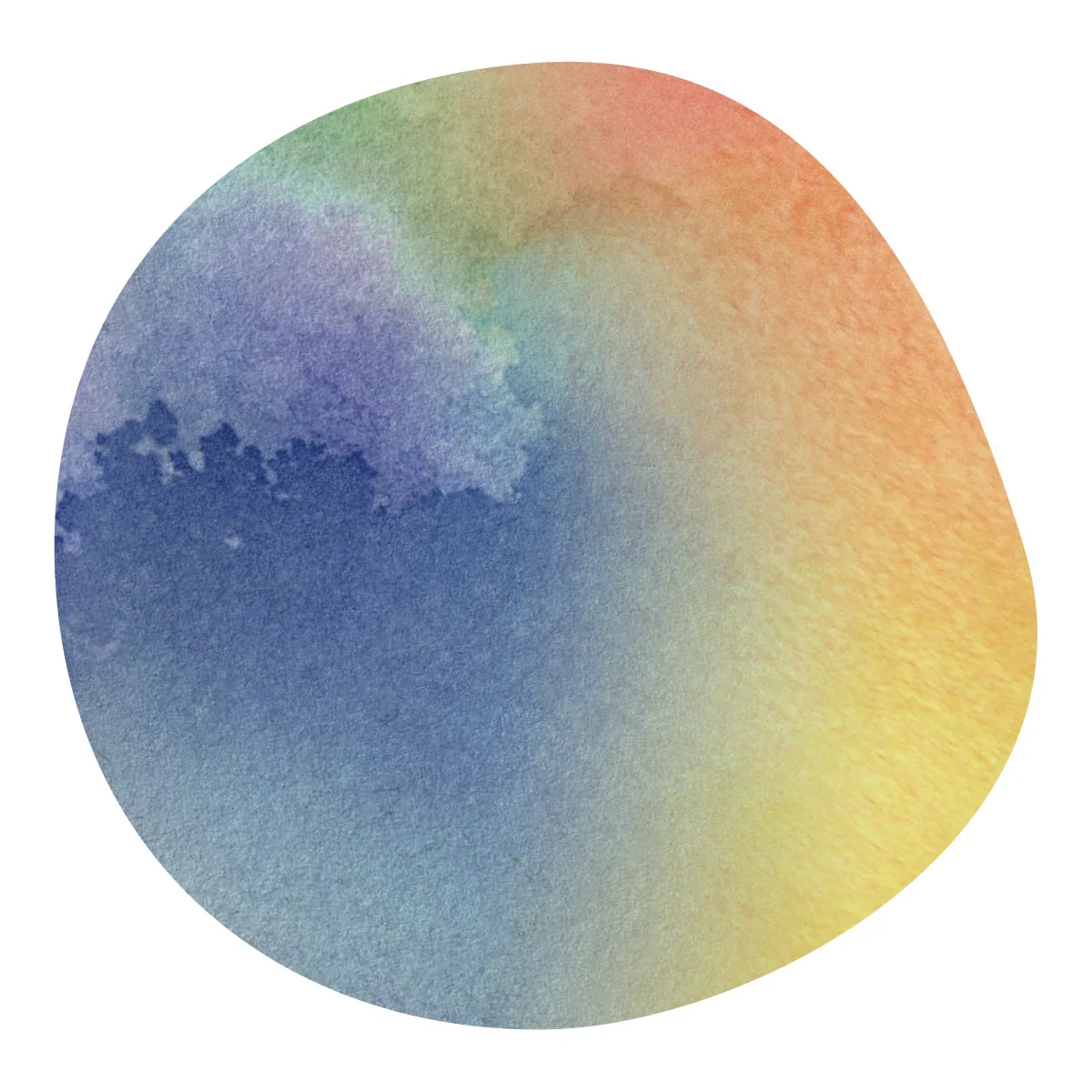 【残りわずか】<coe #7> alfonso pineda -geisha- / el salvador coffee by aoma coffee