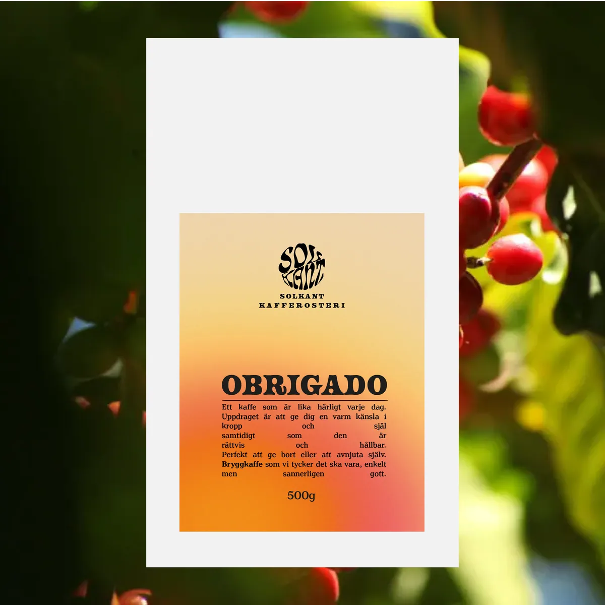 obrigado - brazil coffee by solkant café & roastery