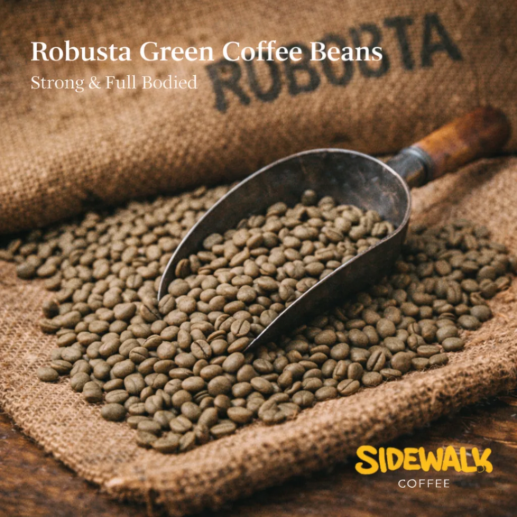 green coffee beans - vietnam robusta 18 screen coffee by sidewalk coffee company