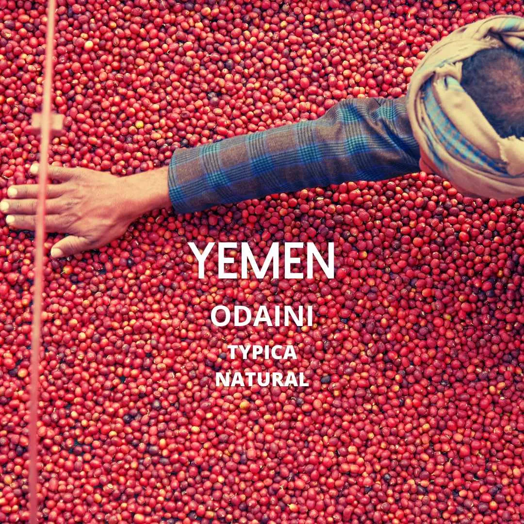somara - yemen coffee by café guayacán