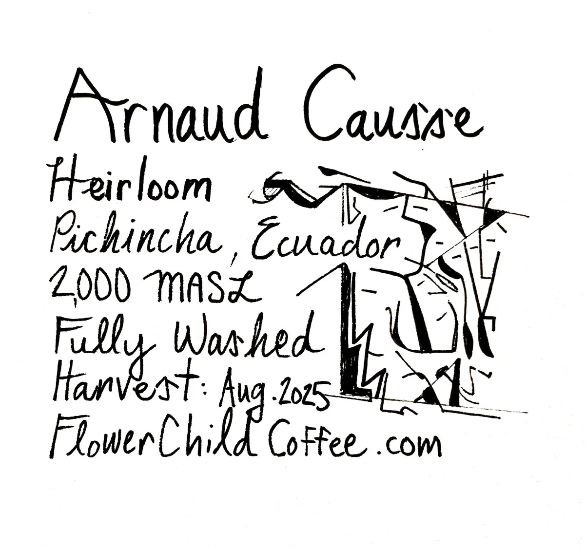 arnaud causse - heirloom - kenya + colombia + peru + costa rica + el salvador + ecuador coffee by flower child