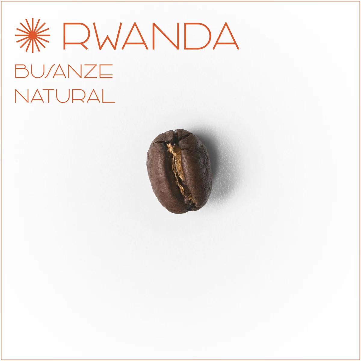 르완다 부산제 내추럴 - rwanda coffee by el cafe coffee roasters