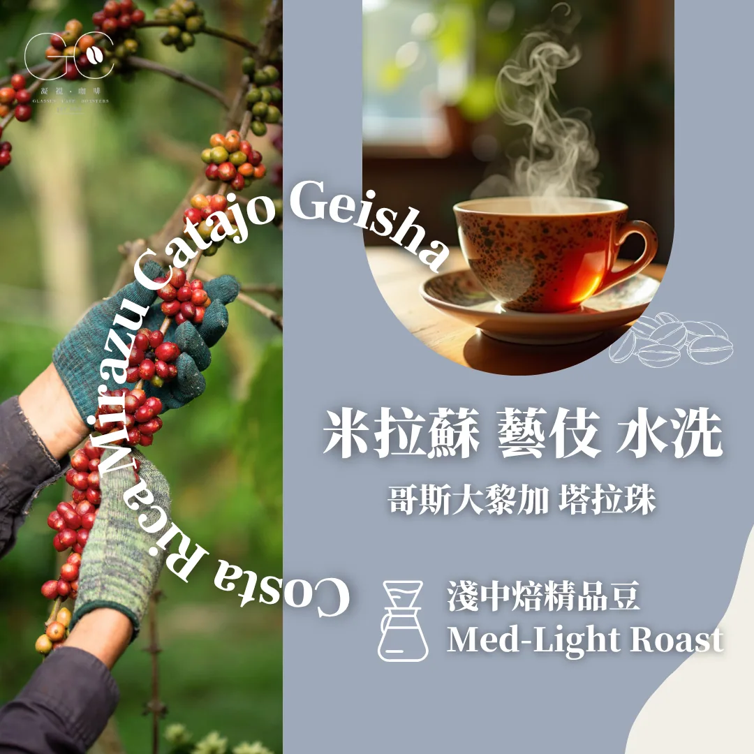 淺中焙|哥斯大黎加 米拉蘇莊園 catajo 藝伎 酵素水洗 costa rica mirazu d’cafetal catajo geisha yeast washed coffee by gazecafe