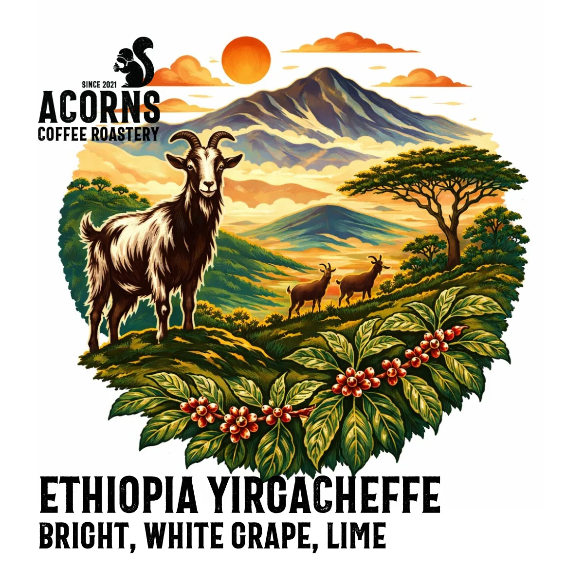 ethiopia yirgacheffe coffee by acorns coffee and cake