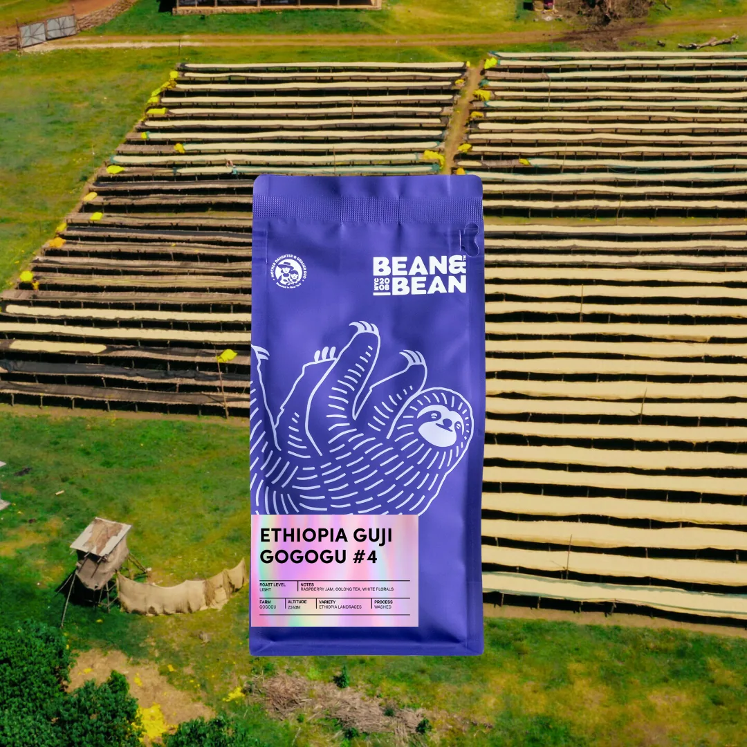 ethiopia guji gogogu #4 coffee by bean & bean queens — roastery & cafe