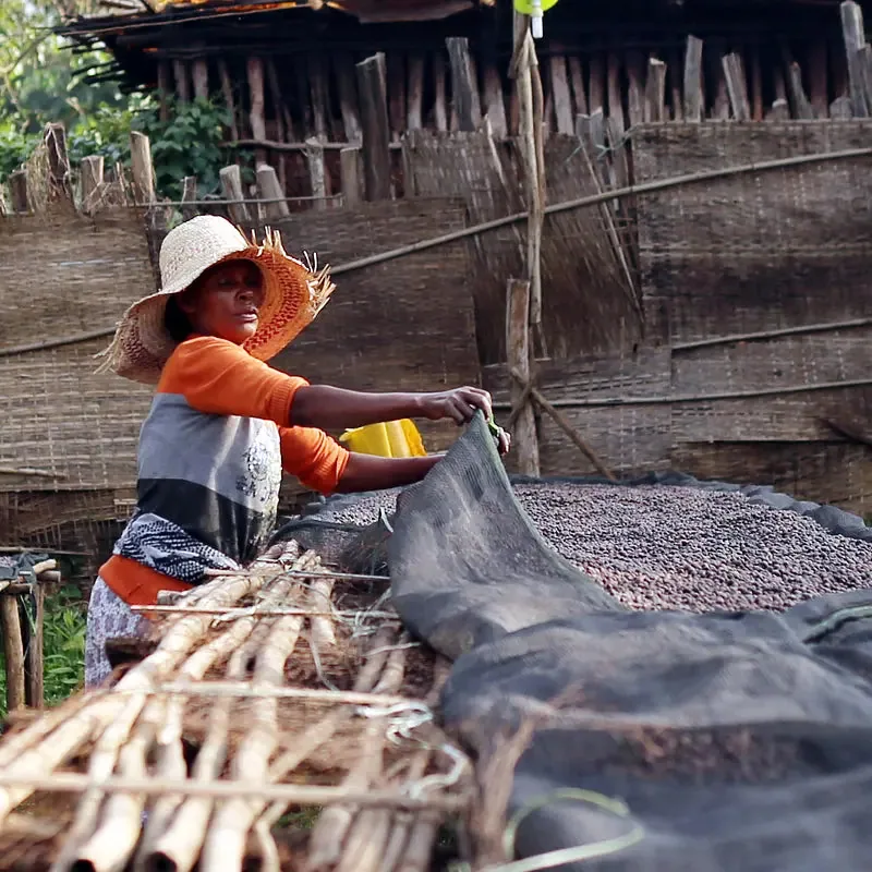 ethiopian yirgacheffe aricha natural arabica green coffee beans (1kg) coffee by pennine tea & coffee ltd