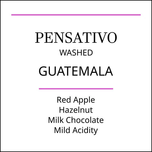 guatemala el pensativo medium roast coffee by pebble and pine coffee