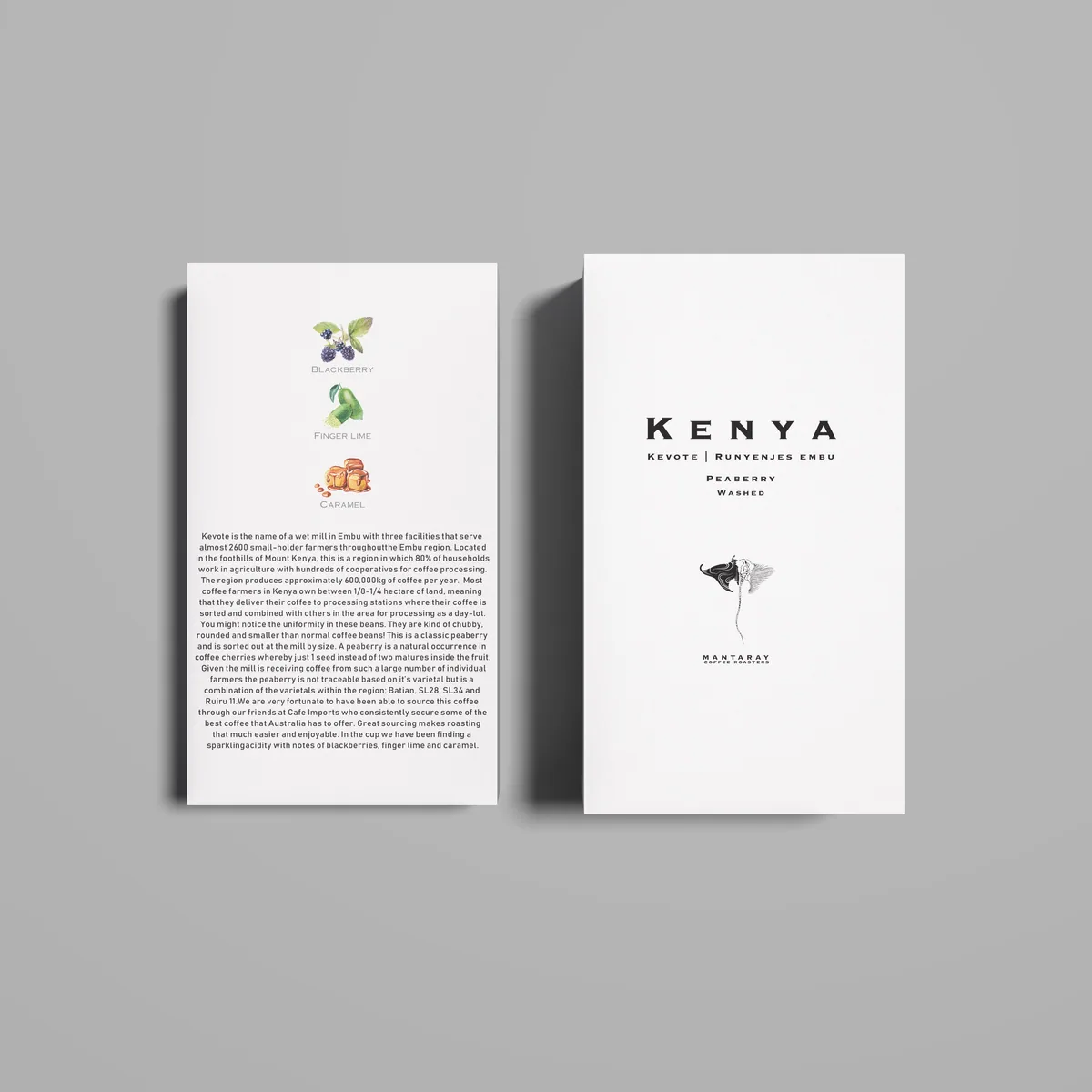 kenya peaberry | kevote runyenjes embu (single origin filter) coffee by manta ray coffee roasters