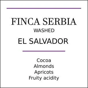 el salvador shg finca serbia medium roast coffee by pebble and pine coffee