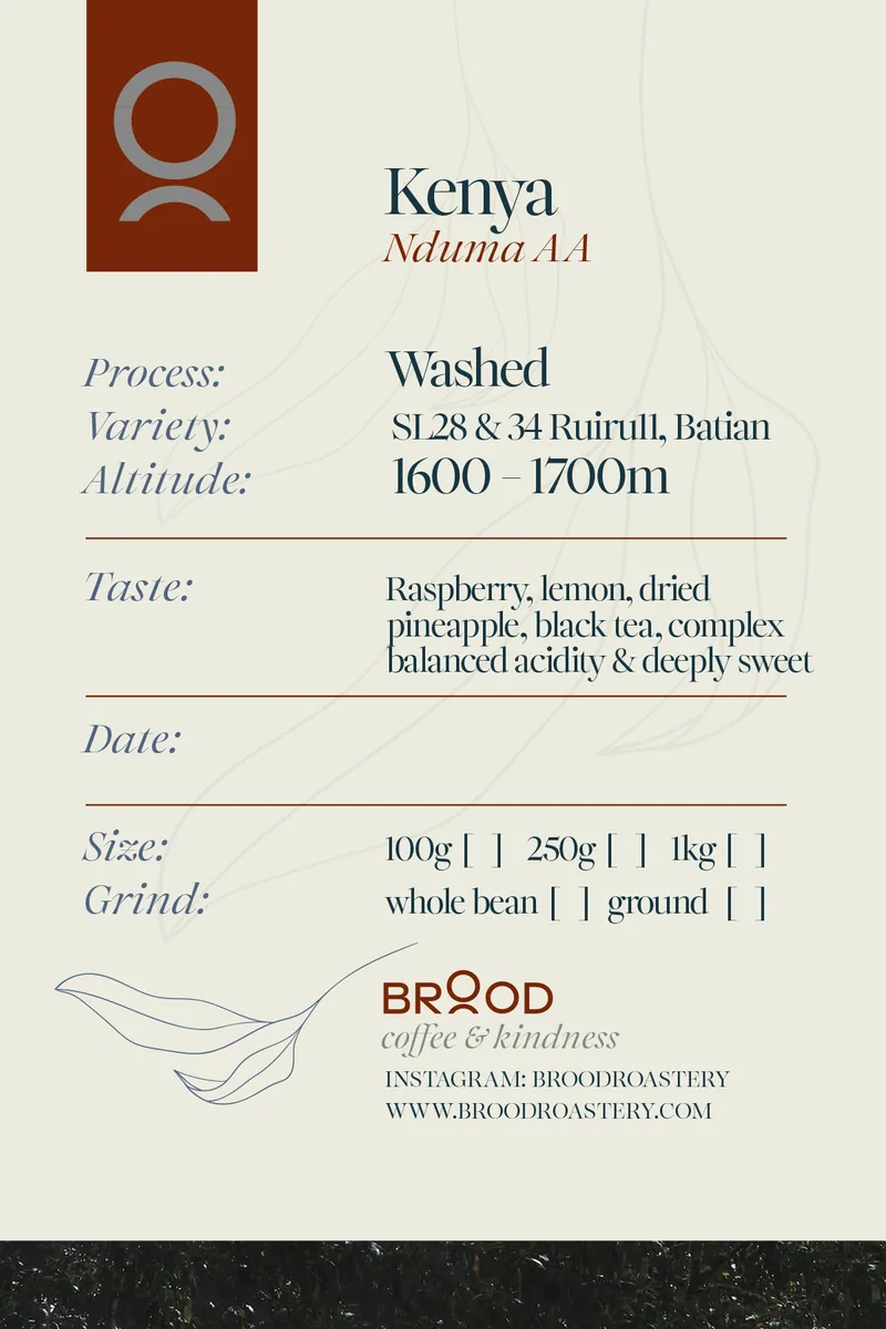 kenya nduma aa washed coffee coffee by brood roastery