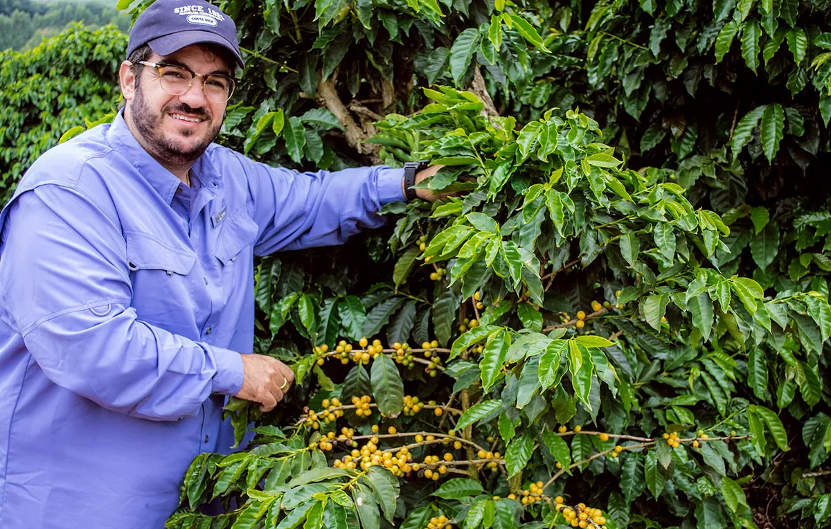 sítio boa vista coffee by monmouth coffee company