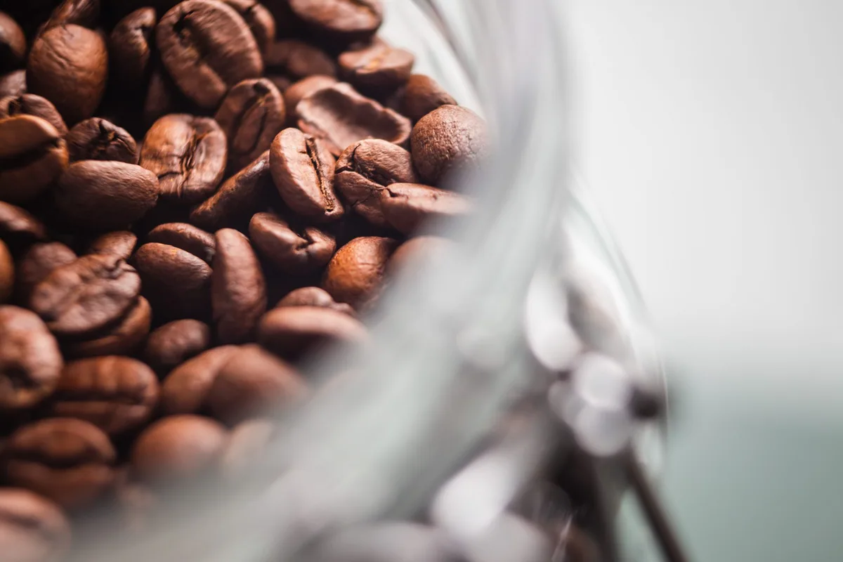 brazil coffee by forest edge roasting co