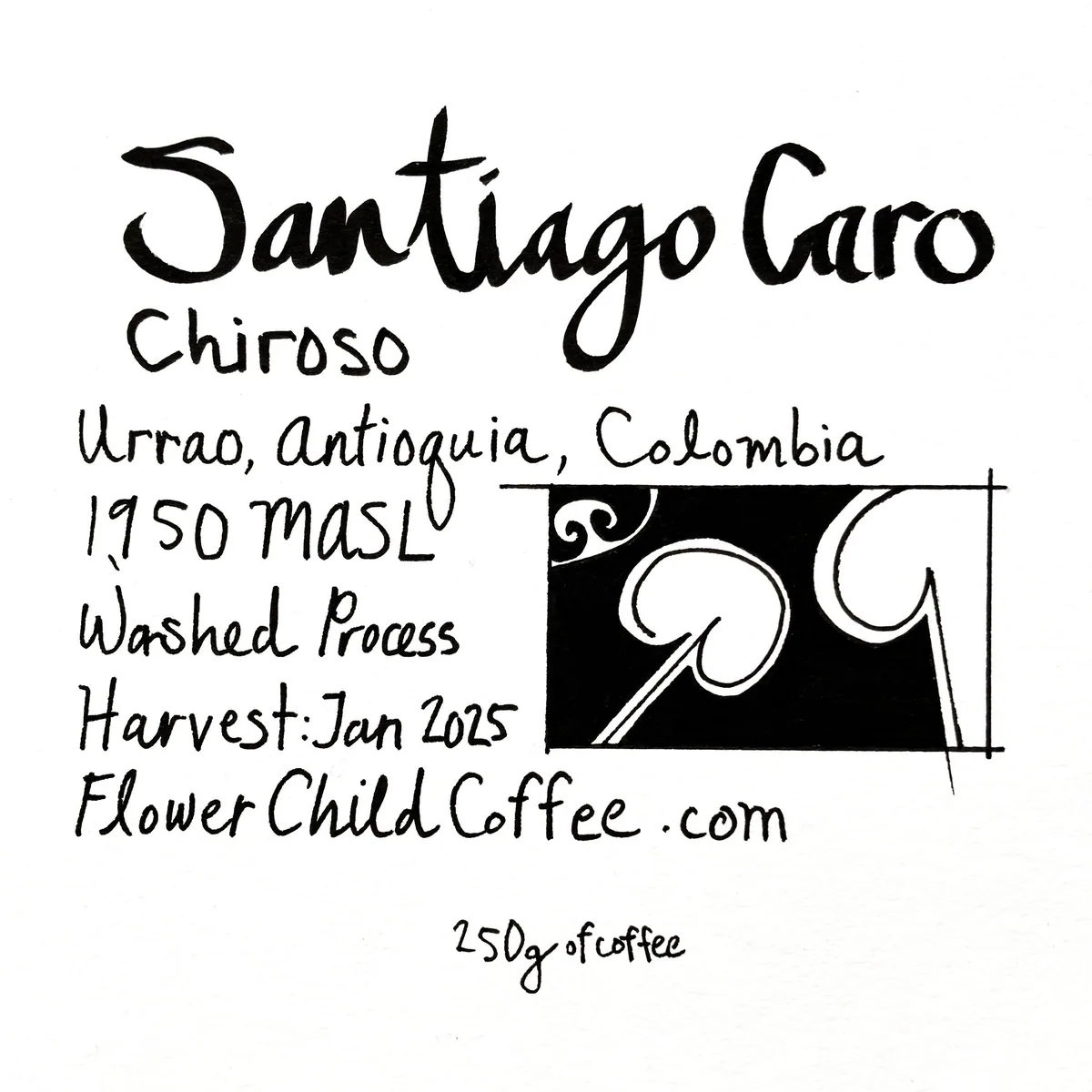 santiago caro - chiroso - colombia coffee by flower child