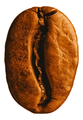 tropical - ecuador coffee by coffee relief - specialty coffee shop & roasters - café de especialidad