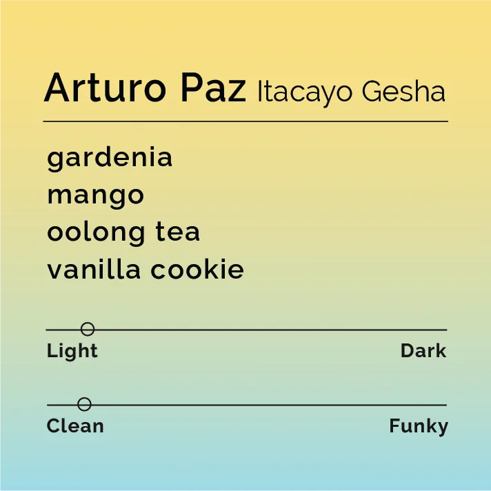 arturo paz - itacayo gesha - honduras coffee by black & white coffee roasters