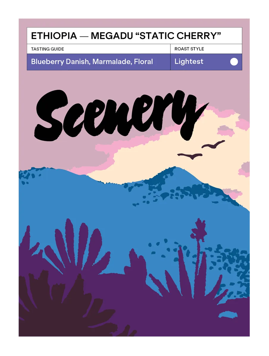 ethiopia - megadu "static cherry" anoxic natural [25/26] coffee by scenery