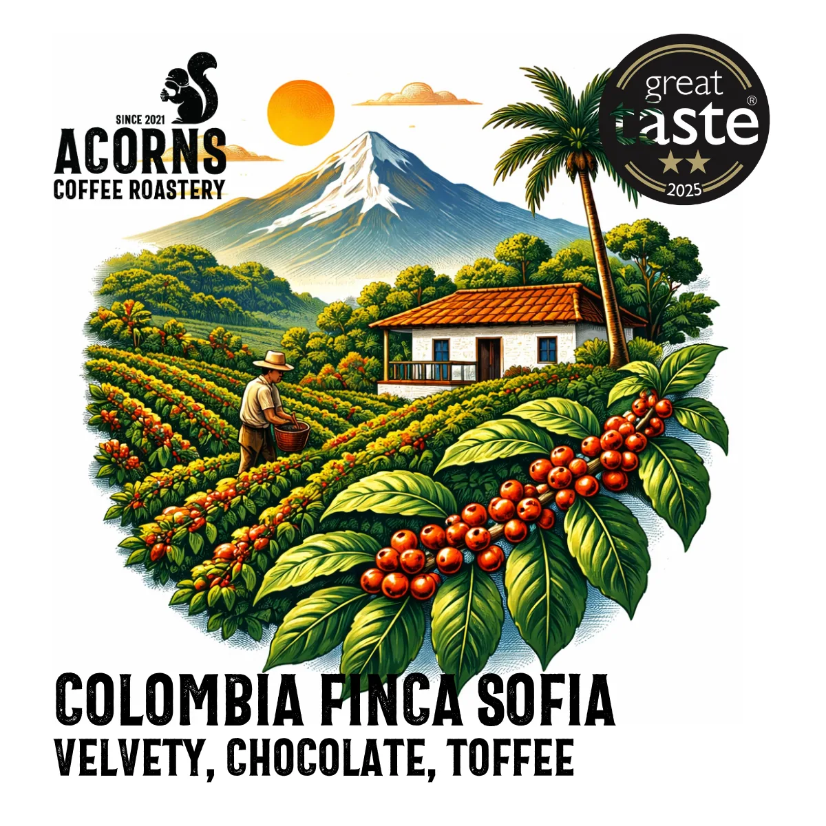colombia finca sofia coffee by acorns coffee and cake
