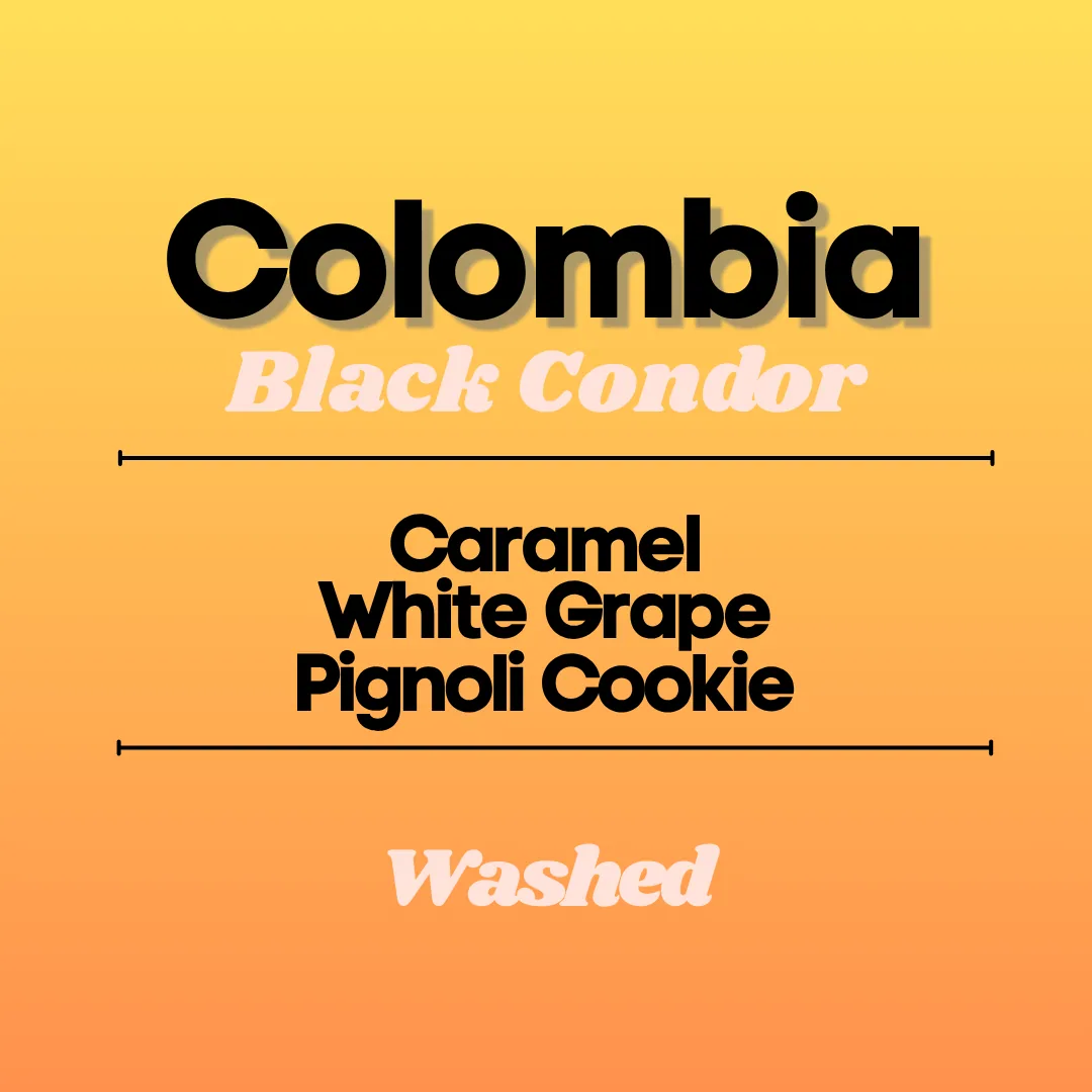 colombia black condor coffee by flux coffee