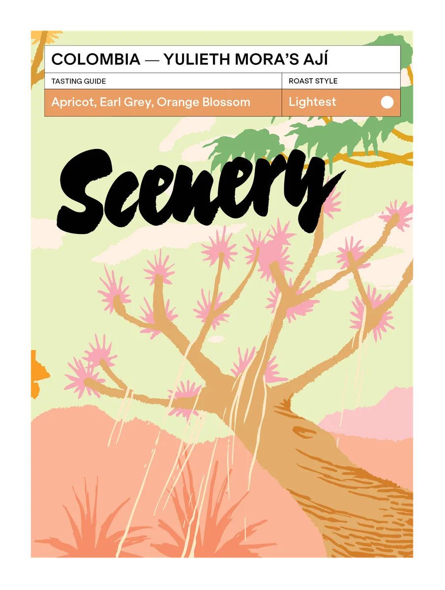 colombia - yulieth mora's ají coffee by scenery
