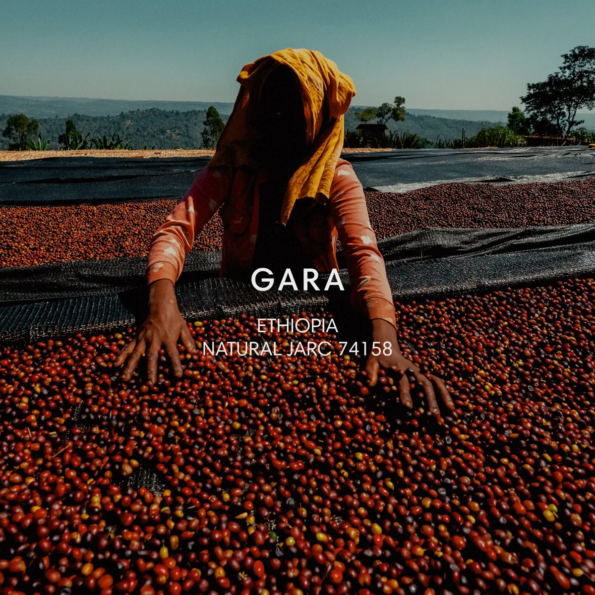 gara coffee by mazelab