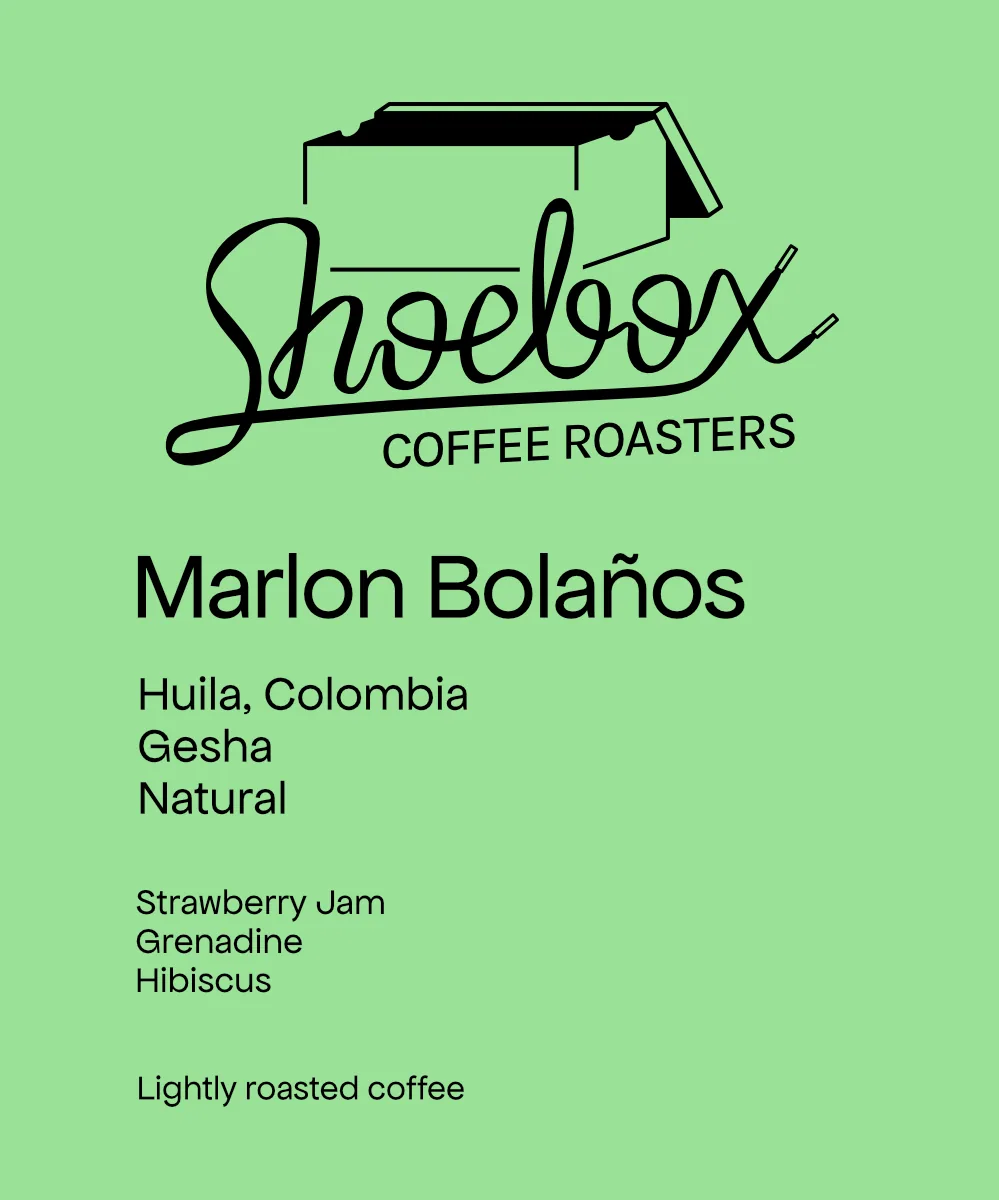 colombia marlon bolaños gesha natural - colombia coffee by shoebox coffee