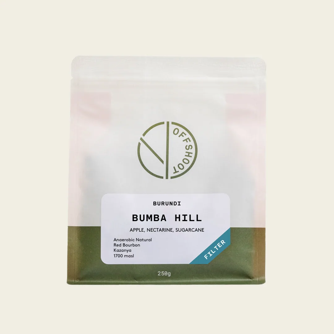 bumba hill coffee by offshoot coffee