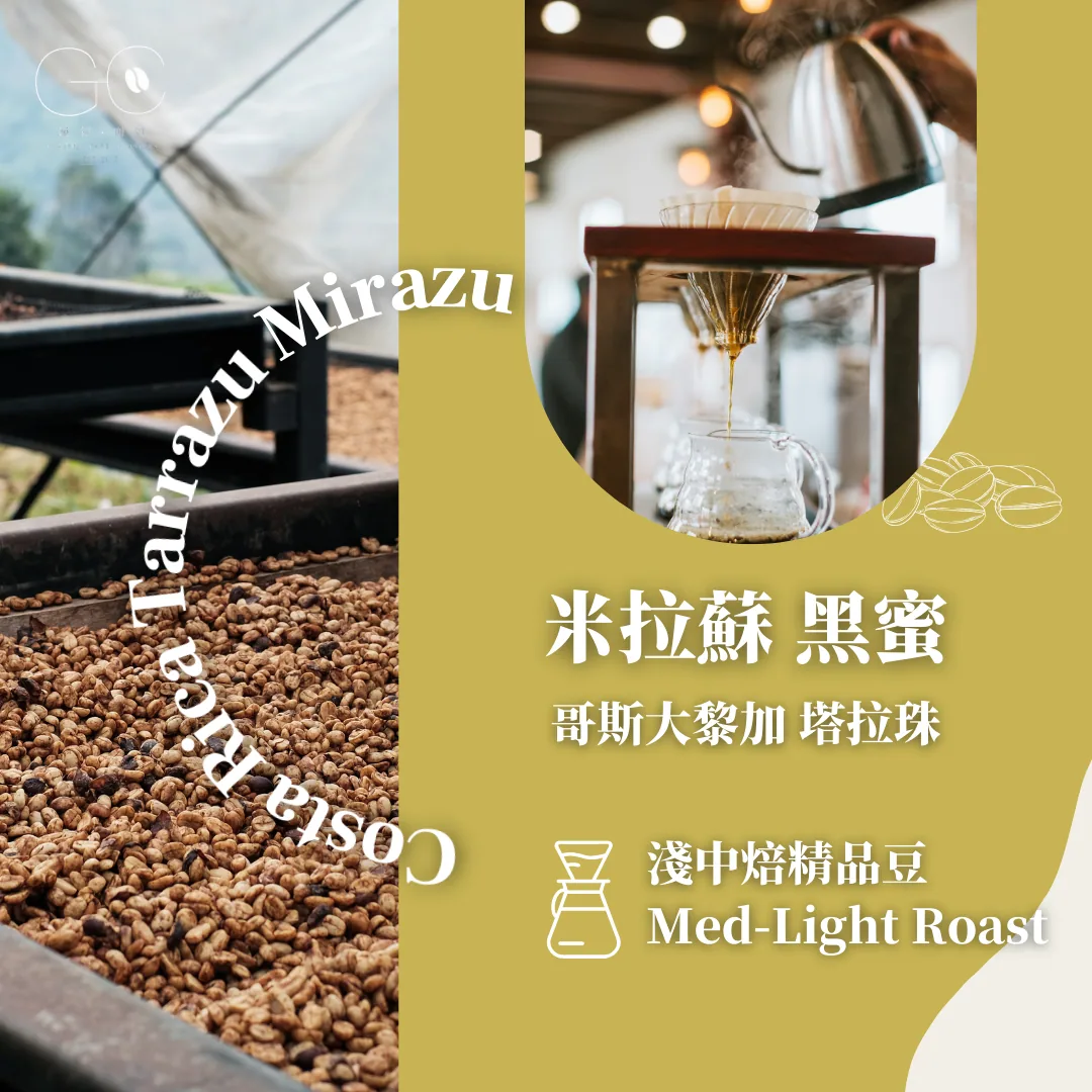 淺中焙|哥斯大黎加 米拉蘇 黑蜜 costa rica tarrazu mirazu - costa rica coffee by gazecafe