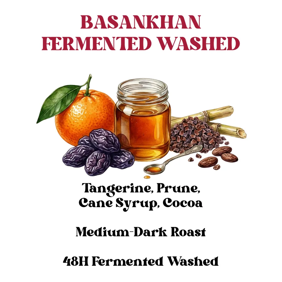 basankhan fermented washed coffee by rossette coffee lab - premium specialty coffee roasters & wholesalers in delhi, india