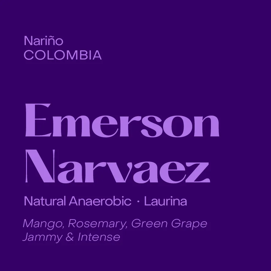 colombia emerson narvaez, natural anaerobic laurina (low caffeine) - colombia coffee by subtext coffee roasters
