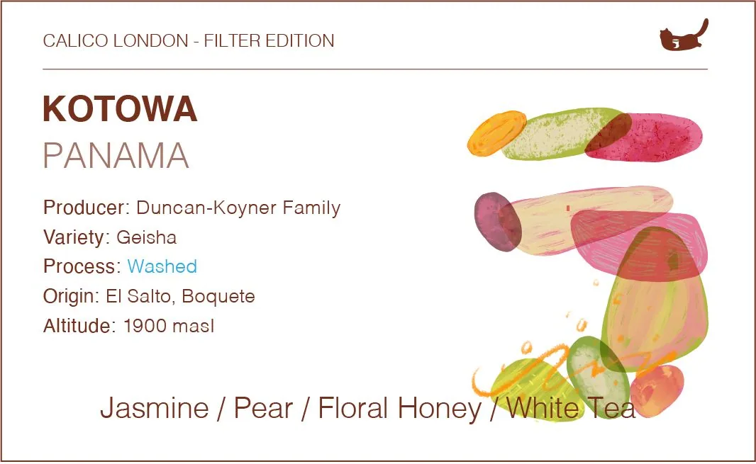 panama kotowa geisha - washed coffee by calico coffee