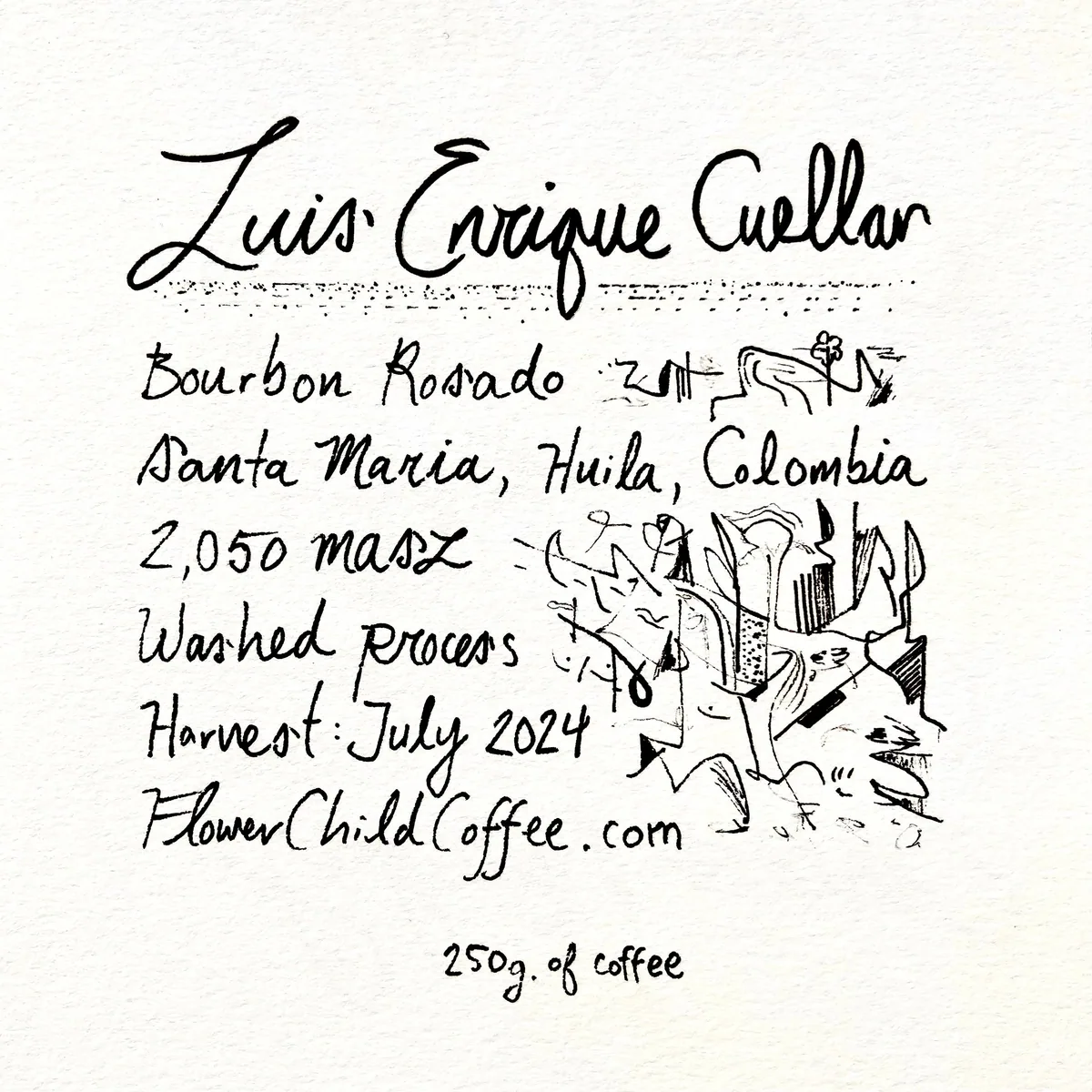 luis cuellar - colombia coffee by flower child