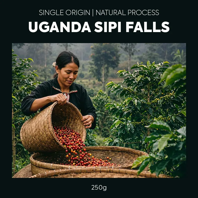 single origin - uganda sipi falls natural coffee by toasted coffee roasters