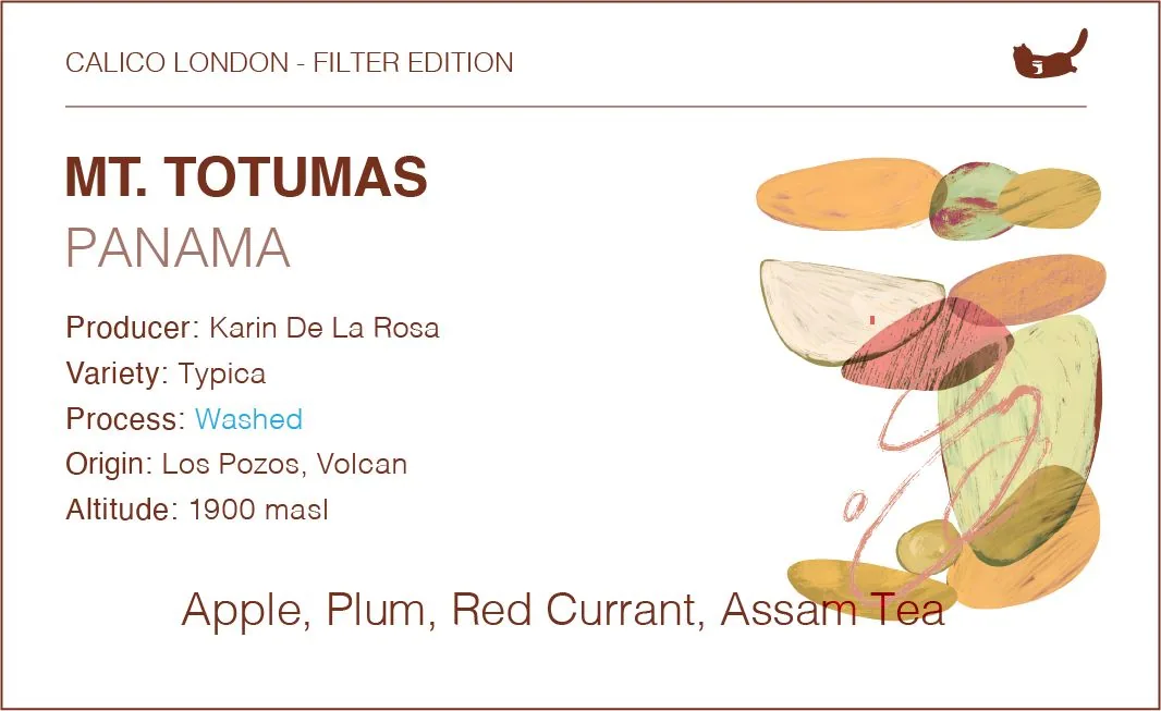 panama mt. totumas typica - washed coffee by calico coffee