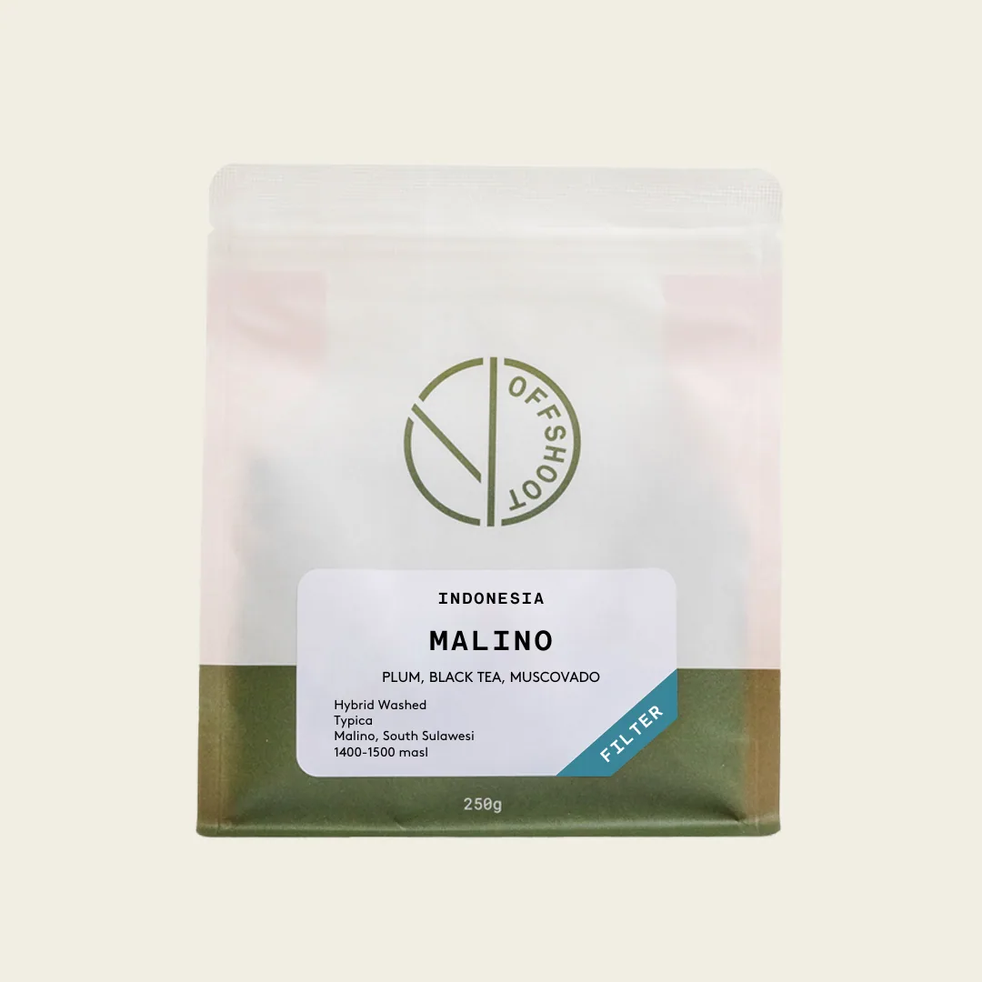 malino coffee by offshoot coffee