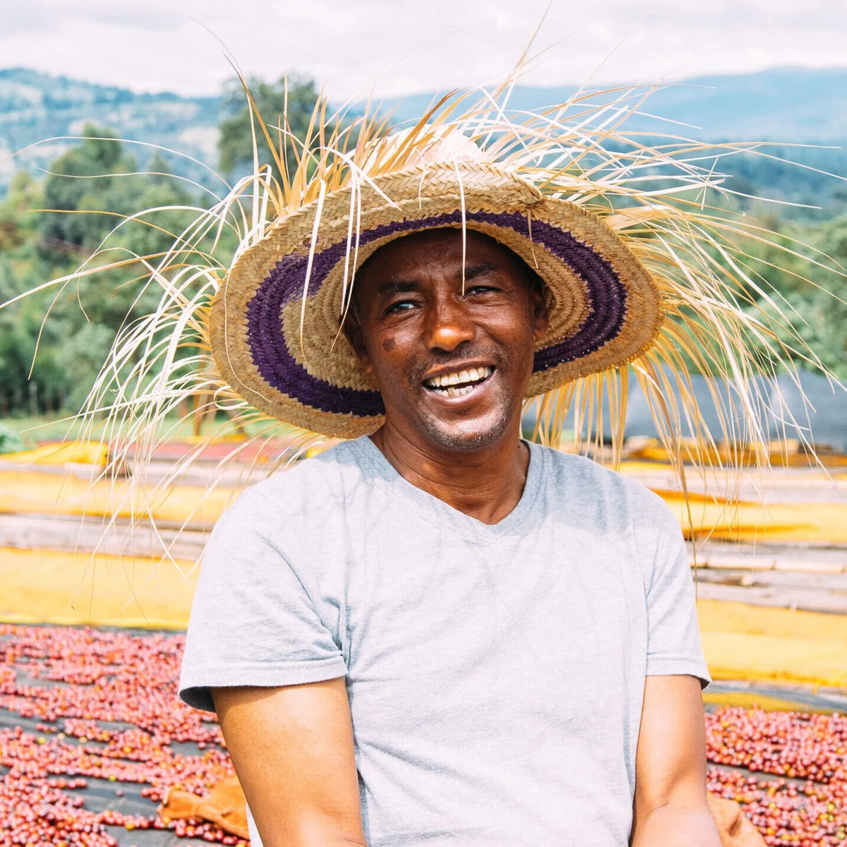 ethiopia suke quto natural swp decaf espresso coffee by passport specialty coffee