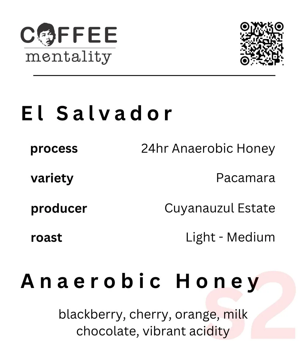 el salvador – 24hr anaerobic honey coffee by coffee mentality roastery - woolloongabba