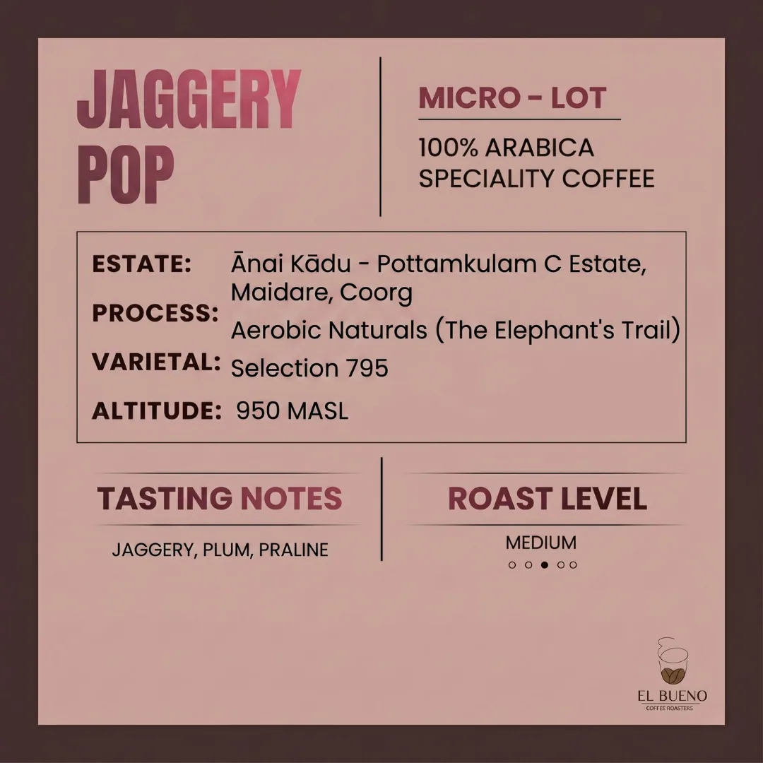 jaggery pop coffee by el bueno coffee roasters - premium specialty coffee beans in delhi, india