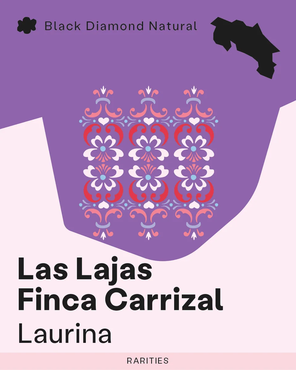 rarities: las lajas, finca carrizal - laurina coffee by sk coffee: whittier