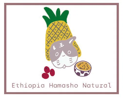 ethiopia hamasho coffee by fufu coffee studio