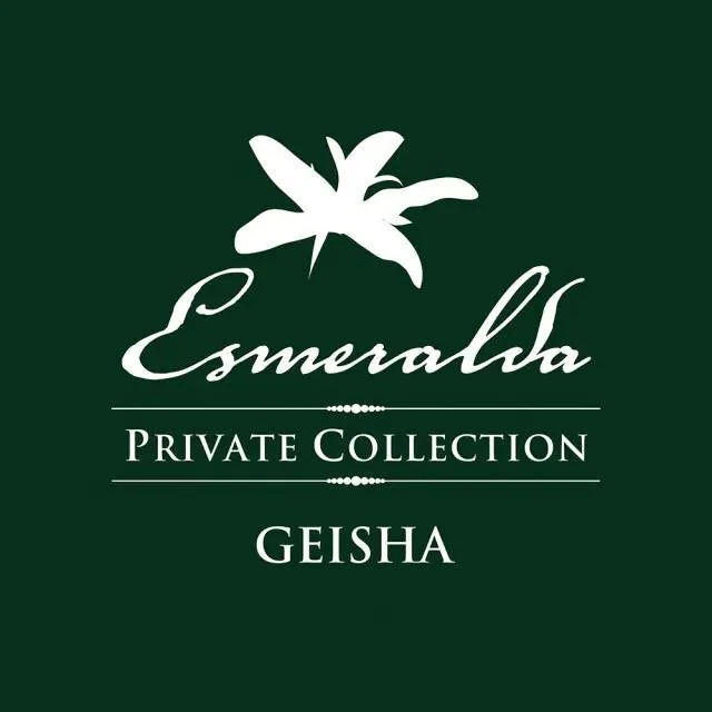 巴拿馬 翡翠莊園<br> 綠標 艾威羅地塊<br> el velo <br> 水洗處理法 <br>panama geisha<br> la esmeralda<br> washed process<br>淺烘焙 100克裝 - panama coffee by rufous coffee roasters 2