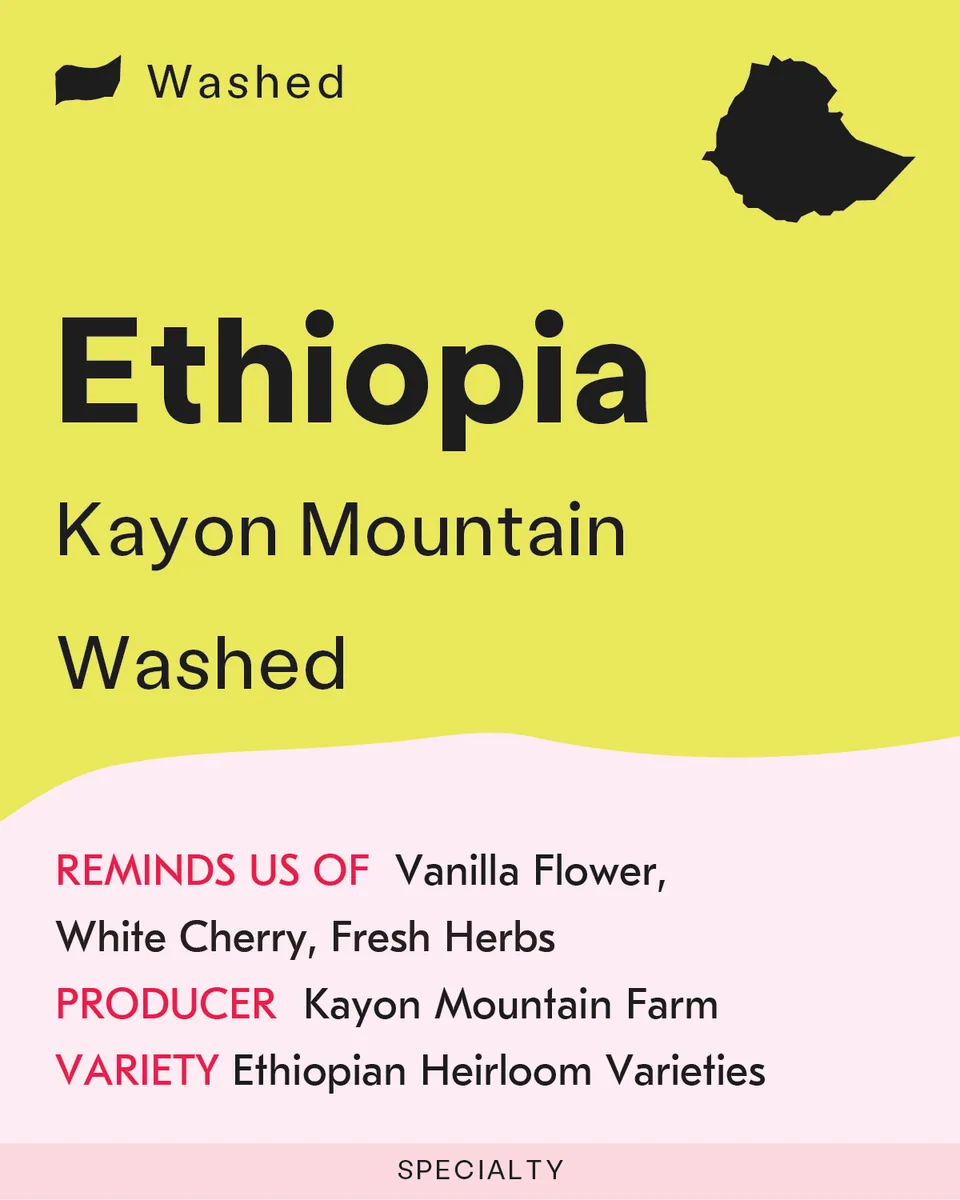 ethiopia, kayon mountain, washed coffee by sk coffee: whittier