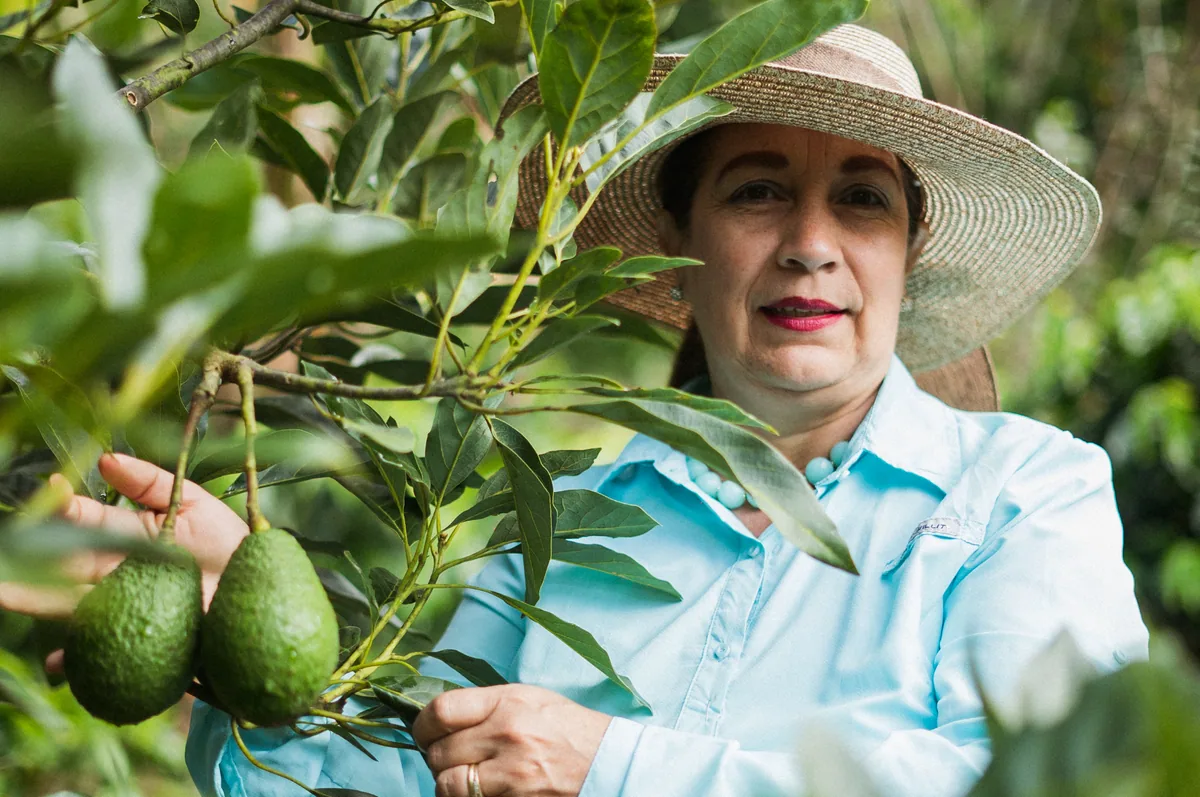 finca la esmeralda coffee by caribe coffee co. roastery