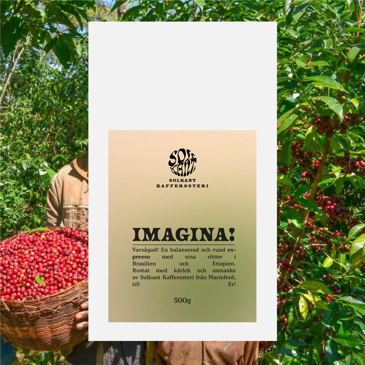imagina! - ethiopia + brazil coffee by solkant café & roastery