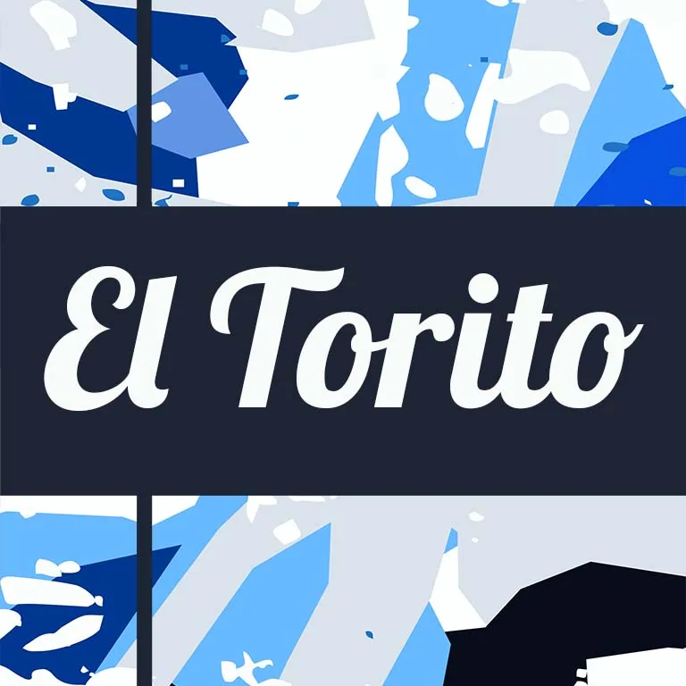 nicaragua torito coffee by django coffee co.