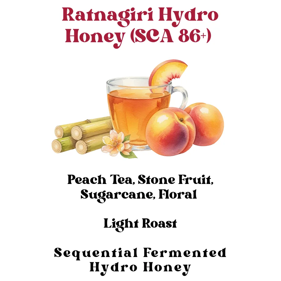 ratnagiri hydro honey (sca 86+) - india coffee by rossette coffee lab - premium specialty coffee roasters & wholesalers in delhi, india