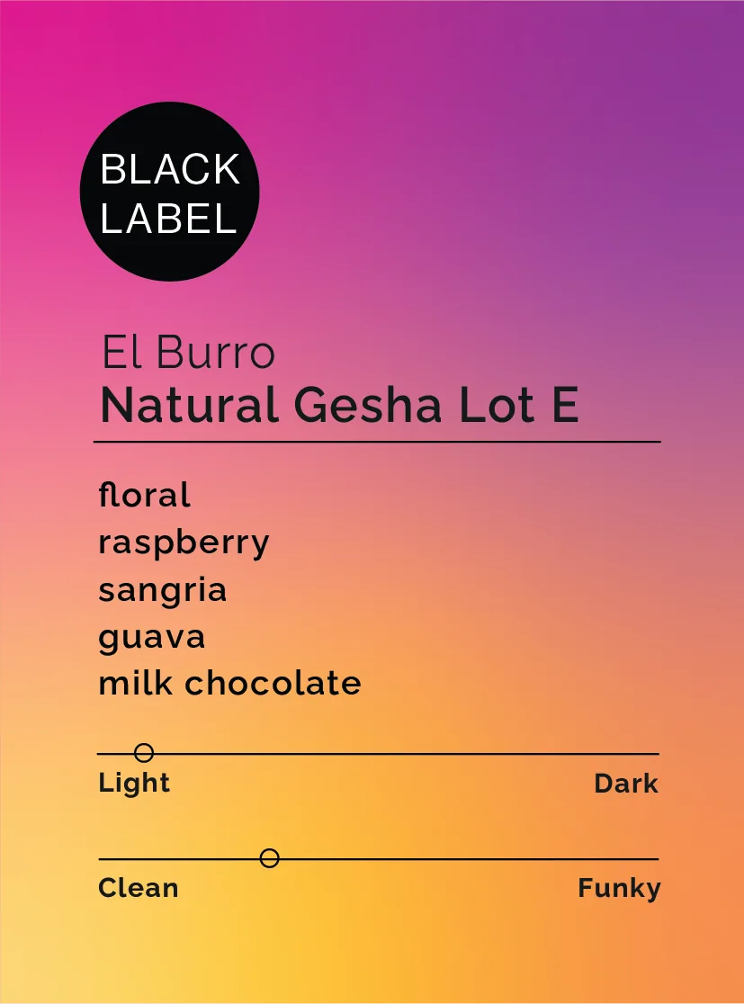 el burro - natural gesha lot e - panama coffee by black & white coffee roasters