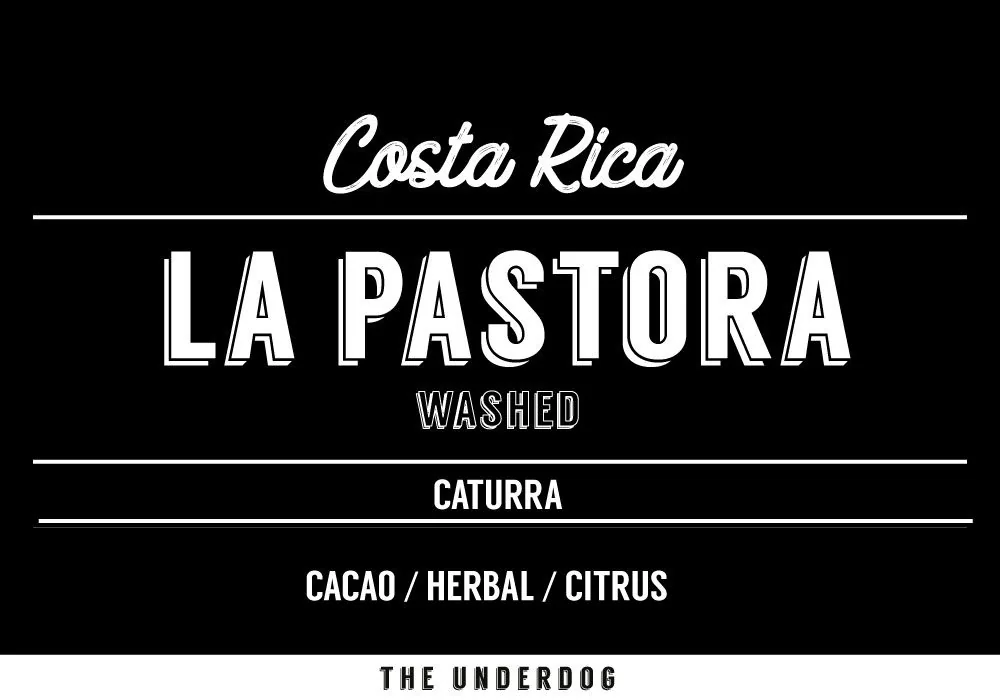 costa rica, la pastora, 200 g - costa rica coffee by the underdog