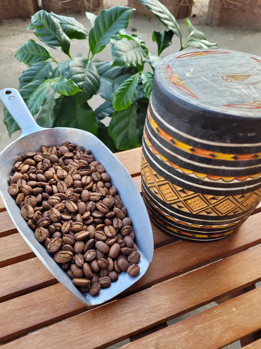 sulawesi kopi kalossi toraja coffee by koffietied röstkaffee